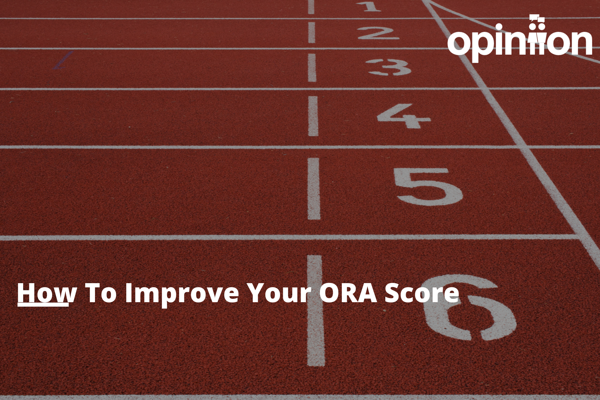 ORA Score